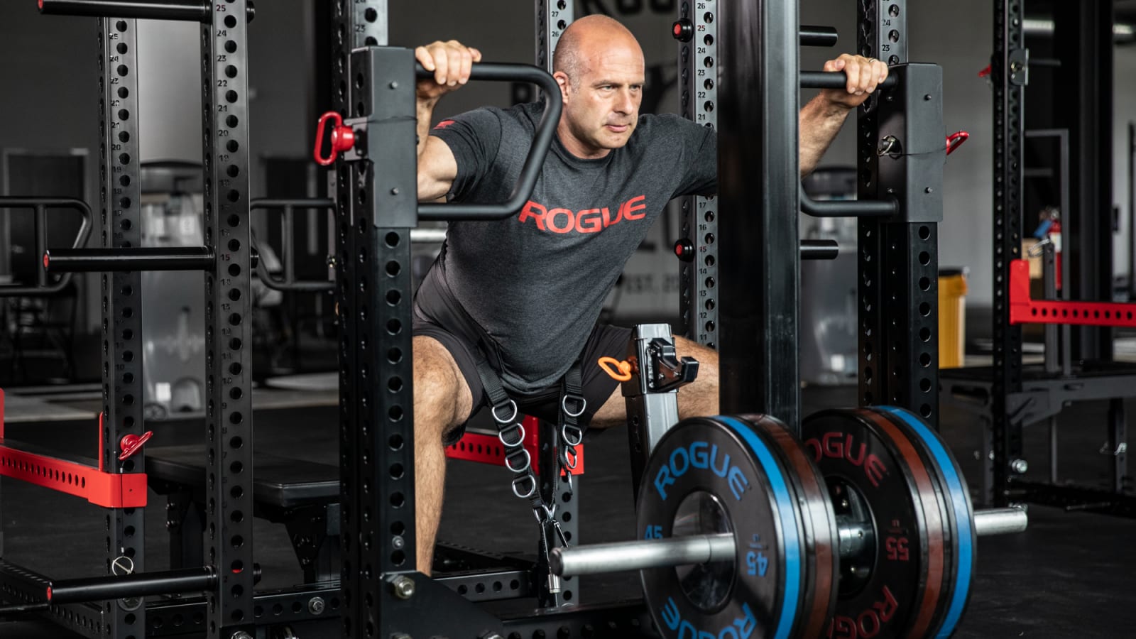 Rogue belt online squat machine